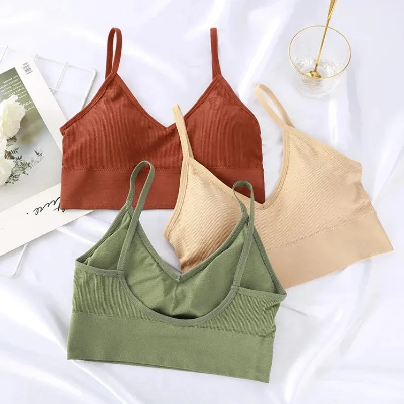 Seamless Women Push Up Bra Bea - Underwire Bra Padded ulasan dan harga