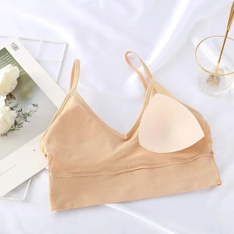 Seamless Women Push Up Bra Bea - Underwire Bra Padded ulasan dan harga